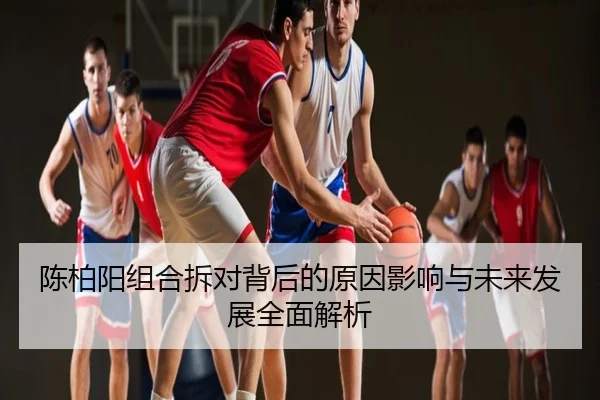 陈柏阳组合拆对背后的原因影响与未来发展全面解析