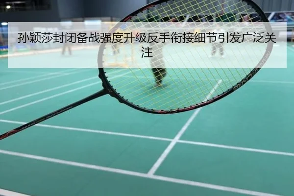 孙颖莎封闭备战强度升级反手衔接细节引发广泛关注