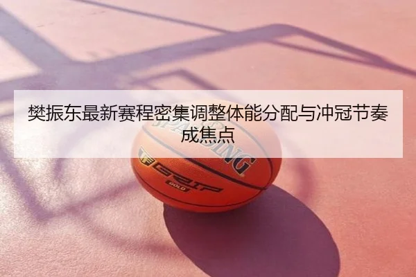 樊振东最新赛程密集调整体能分配与冲冠节奏成焦点